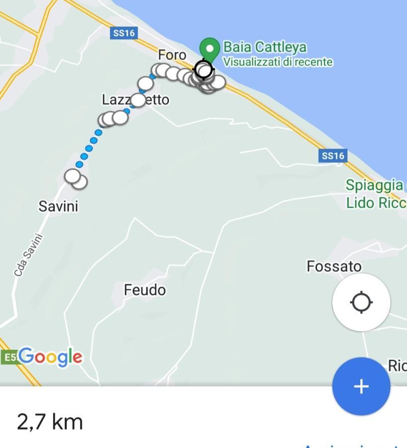 Il Giardino Degli Ulivi House