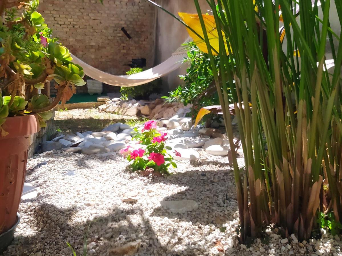 Il Giardino Degli Ulivi House Holiday home *